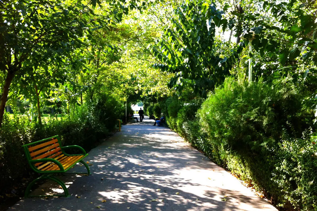 حدود ۳۳۰۰ درخت در منطقه ۶ تهران كاشته شد