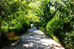 حدود ۳۳۰۰ درخت در منطقه ۶ تهران كاشته شد