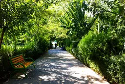 حدود ۳۳۰۰ درخت در منطقه ۶ تهران كاشته شد
