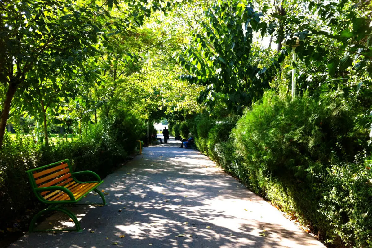 حدود ۳۳۰۰ درخت در منطقه ۶ تهران كاشته شد