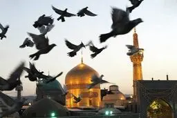 معاون اماکن متبرکه آستان قدس: سالانه ۲۵ تا ۲۸ میلیون زائر به حرم رضوی مشرف می‌شوند