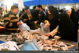 نمایشگاه‌های عرضه مستقیم کالا از ۵ تا ۱۵ تیر ماه برپا می‌شود