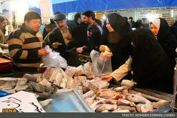 نمایشگاه‌های عرضه مستقیم کالا از ۵ تا ۱۵ تیر ماه برپا می‌شود