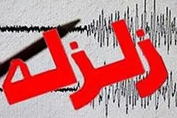 زمین لرزه ۷.۲ ریشتری جزایر زلاندنو را لرزاند