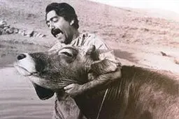 نسیخه دیجیتال 