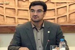 مدیرعامل صندوق ضمانت صادرات: ۵۰ درصد تعهدات صندوق تكلیفی است