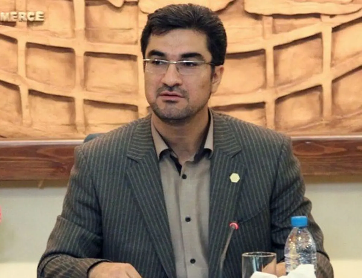 مدیرعامل صندوق ضمانت صادرات: ۵۰ درصد تعهدات صندوق تكلیفی است