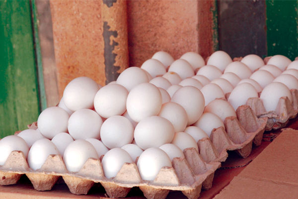 دبیرکل کانون سراسری پرورش‌دهندگان مرغ تخم‌گذار: تخم‌مرغ در ماه رمضان گران نمی‌شود