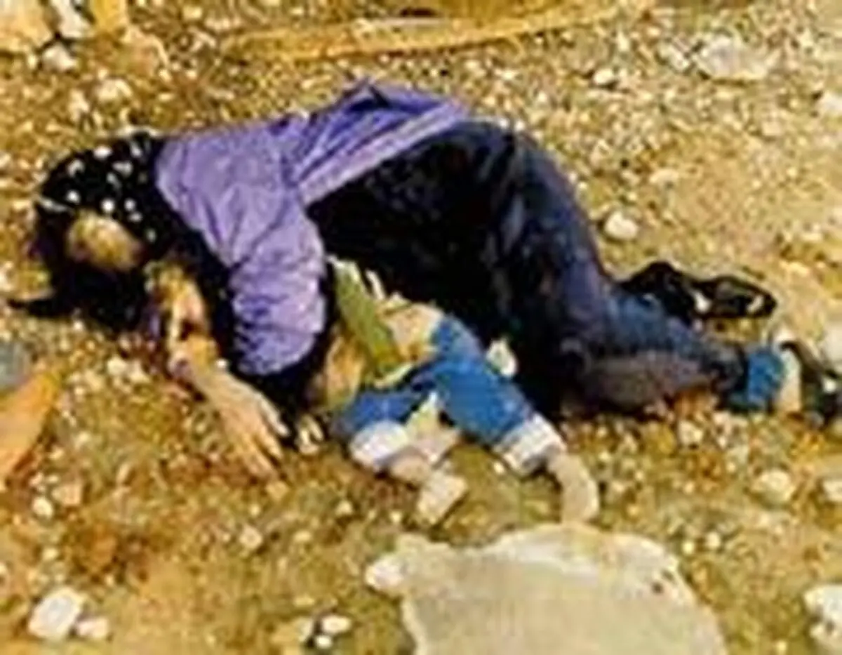 نماینده بنیاد شهید در لاهه هلند: افکار عمومی جهان با جانبازان شیمیایی آشنا شده است