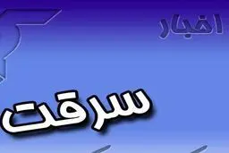 فرمانده انتظامی زاهدان: سارقان مسلح به یک موسسه مالی و اعتباری دستبرد زدند