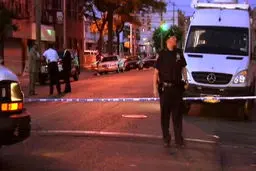 پلیس آمریکا: تیراندازی‌ها در 