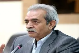 شافعی: هیأت‌های تجاری با حضور در ایران حیرت‌زده میشوند