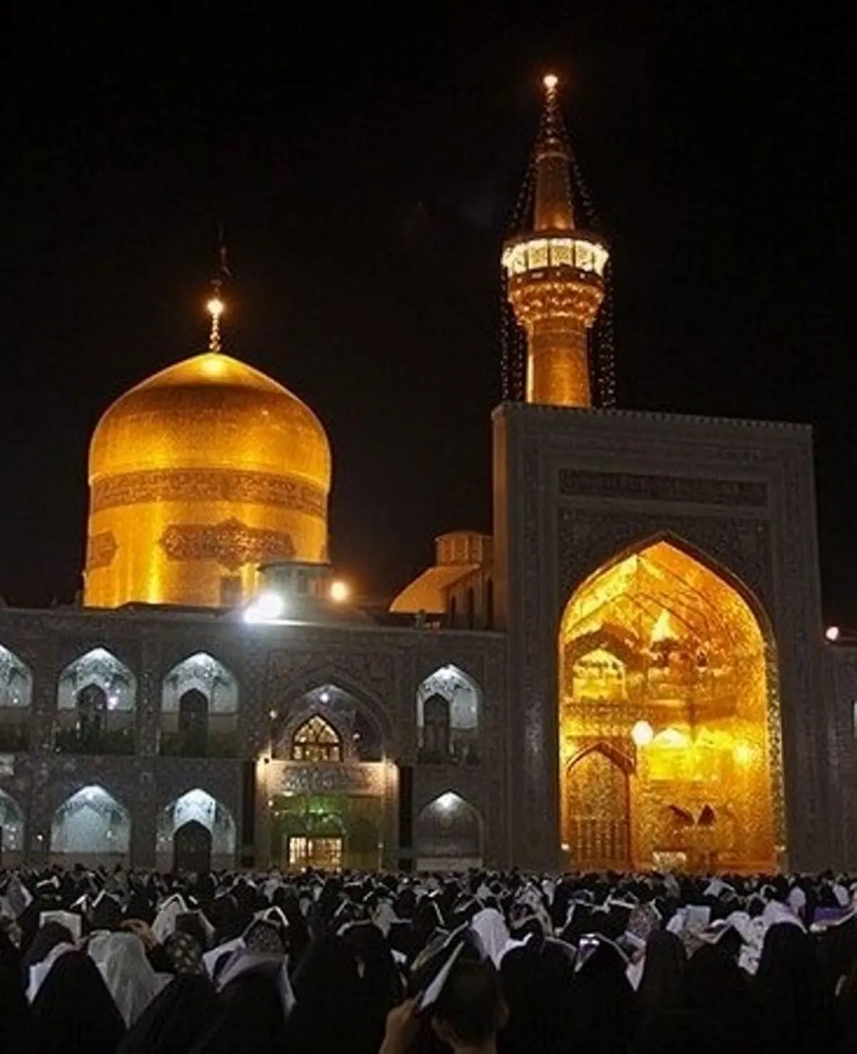 کتاب "حکمت‌های رضوی" رونمایی شد