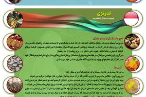 گرافیک اطلاع رسان:: رمضان در جهان