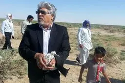 مدیرکل محیط زیست سیستان و بلوچستان: حیات پرندگان تالاب هامون در خطر است