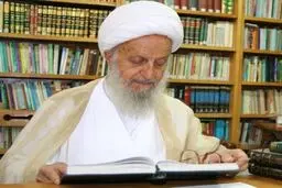 آیت‌الله مکارم شیرازی: اگر موضوع شهادت در جامعه کم رنگ شود آینده به خطر میافتد