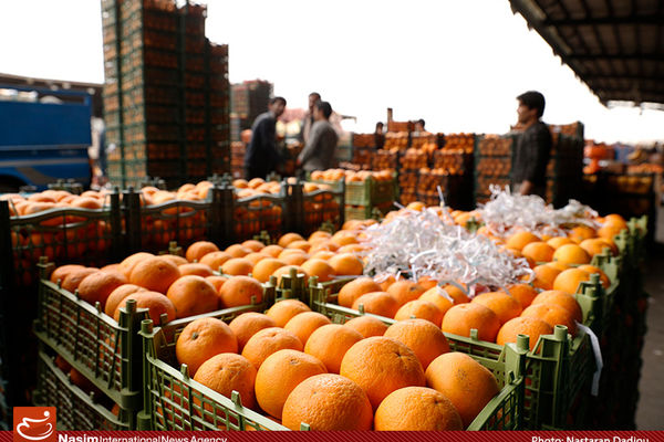 بیشتر محصولات تولیدی کشاورزی ایران ارگانیک است