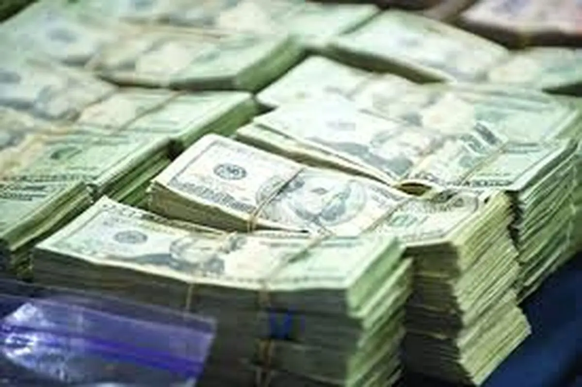 یک مقام مسئول در بانک مرکزی: ذخایر ارزی محدودی داریم، نمیتوانیم بیگدار به آب بزنیم