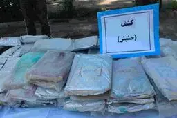 بزرگترین محموله حشیش در البرز کشف شد