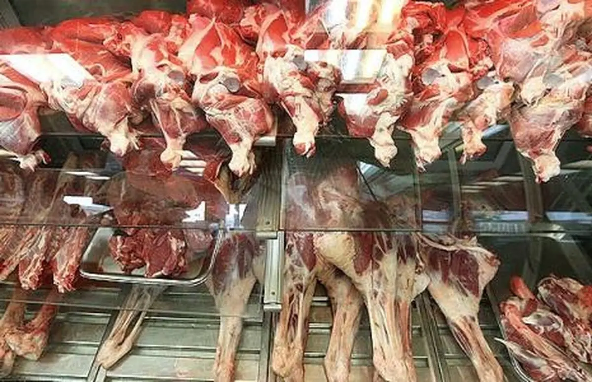 قیمت گوشت گوسفندی ۴ درصد کاهش قیمت داشته است