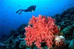 مستندی ایرانی برگزیده یونسکو روی آنتن تلویزیون می‌رود