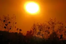 هوای تهران به ۴۱ درجه سانتیگراد می‌رسد