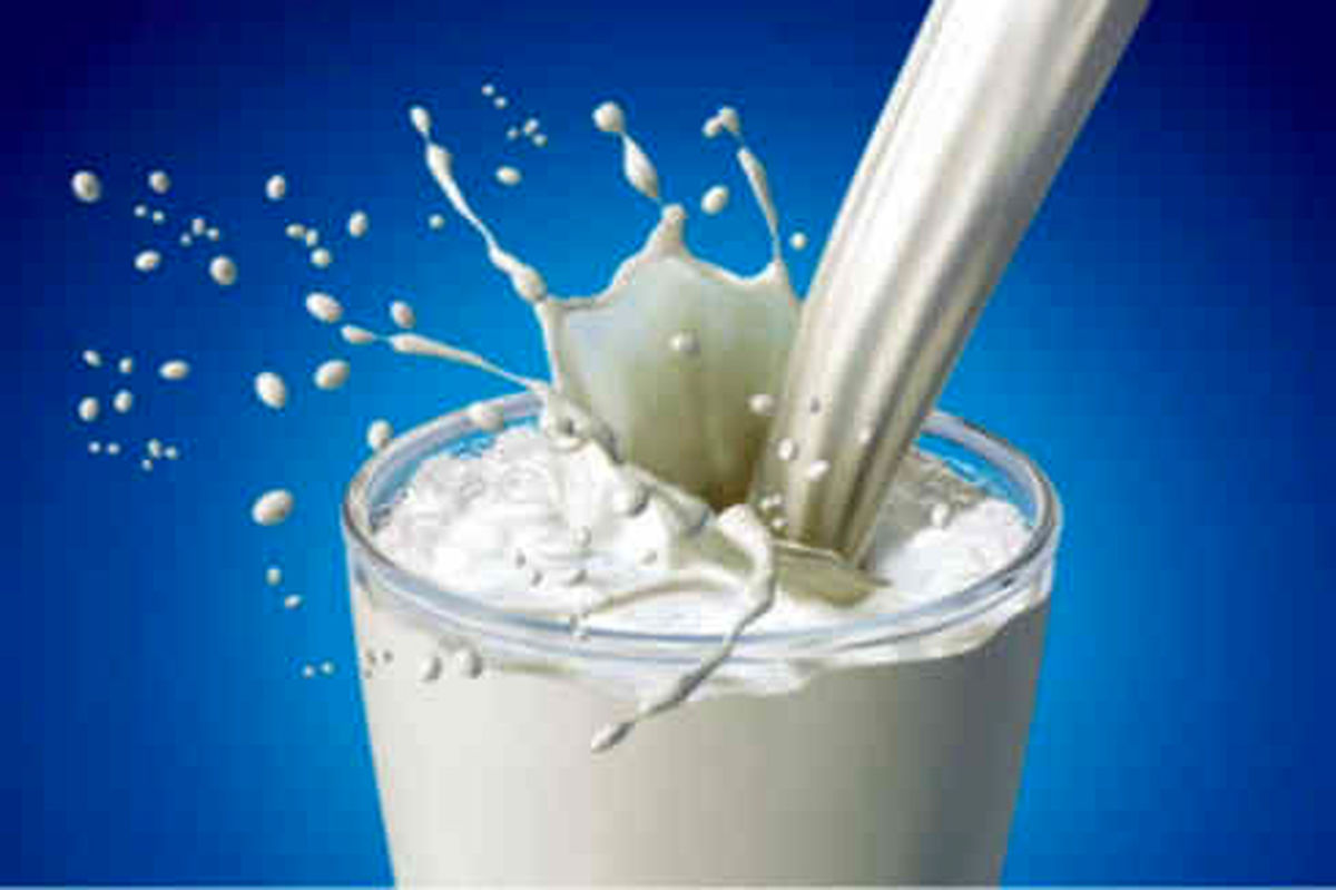 مشاور ارشد صنایع شیر ایران: کاهش یارانه شیر، جامعه را بیمار میکند