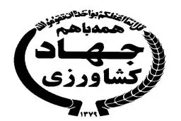 خسارات ناشی از طوفان به اراضی کشاورزی منطقه سیستان در حال برآورد است