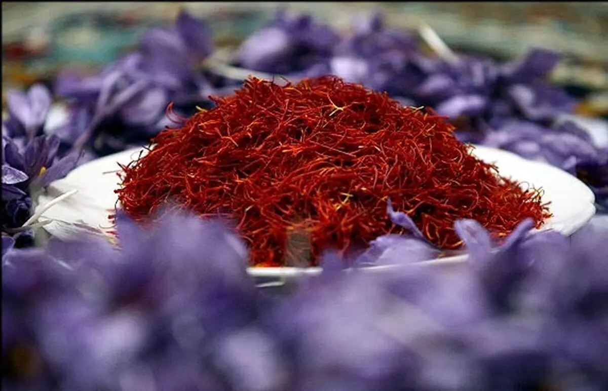 عوارض صادراتی انواع زعفران فله‌ای حذف شد