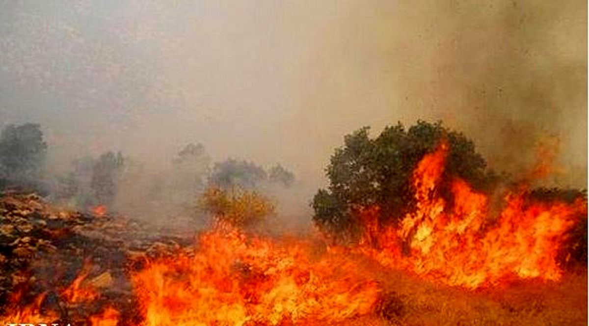 ۴۰ هکتار از اراضی بخش سیمکان جهرم در آتش سوخت