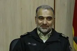 معاون حقوقی ناجا: شعب ویژه سرقت در قوه قضائیه راه‌ اندازی شود