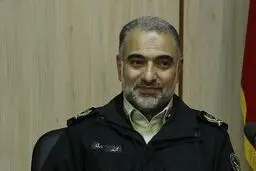 معاون حقوقی ناجا: شعب ویژه سرقت در قوه قضائیه راه‌ اندازی شود