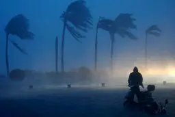 تلفات طوفان 