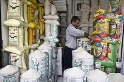 چگونه سود ۴۱۰ میلیاردی برنج، کشاورزان را فلج کرد