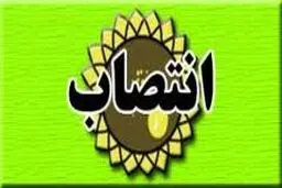 سید محسن صادقی به عنوان معاون سیاسی- امنیتی استانداری خراسان رضوی معارفه شد