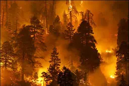 حدود ۸۰ هکتار از اراضی 