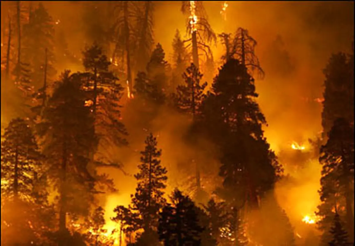 حدود ۸۰ هکتار از اراضی "میانکاله" در آتش سوخت