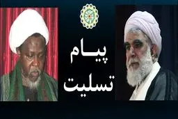  دبیرکل مجمع جهانی اهل بیت(ع) شهادت فرزندان رهبر شیعیان نیجریه را تسلیت گفت