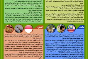 گرافیک اطلاع‌رسان:: عید سعید فطر در نقاط مختلف جهان