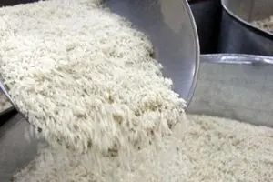پایگاه خبری بیزینس لاین: ایران تعرفه واردات برنج از هند را دو برابر کرد