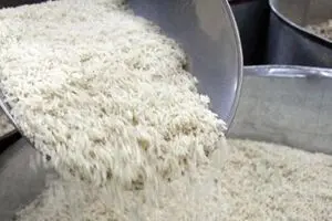 پایگاه خبری بیزینس لاین: ایران تعرفه واردات برنج از هند را دو برابر کرد