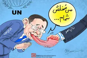 کاریکاتور:: حقیقت سازمان ملل