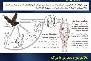 گرافیک اطلاع رسان:: ابولا؛ سایه مرگ در غرب آفریقا
