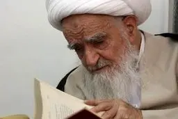 آیت‌الله صافی گلپایگانی: تخریب آثار اسلامی،نقشه خائنانه بیگانگان است