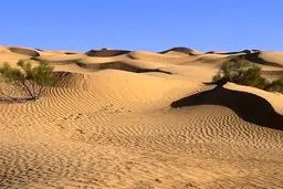 رئیس سازمان جنگل‌ها: بیابان زایی در استان تهران شدت گرفت