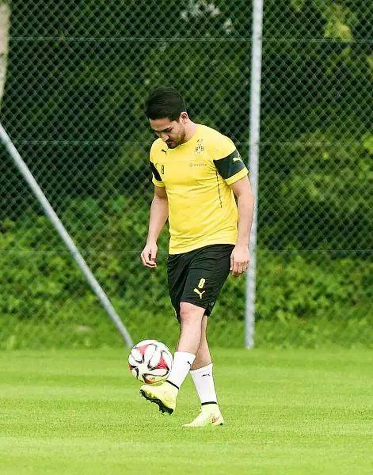 عکس خبری: ‌هافبک مصدوم دورتموند پا به توپ شد