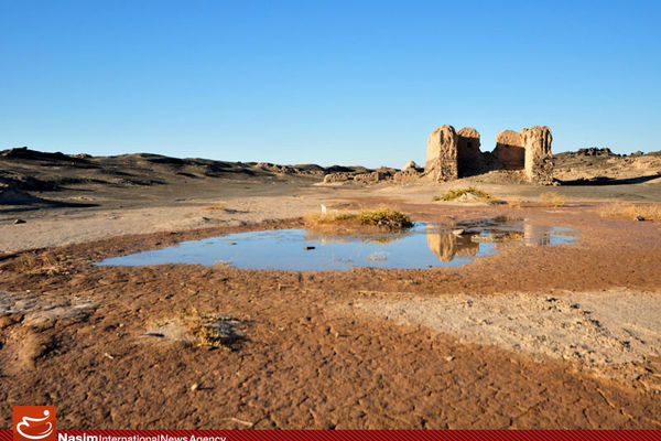 مدیر کمیته ملی مبارزه با پدیده گرد و غبار، از کانون ریزگردهای سیستان بازدید کرد