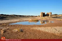 مدیر کمیته ملی مبارزه با پدیده گرد و غبار، از کانون ریزگردهای سیستان بازدید کرد
