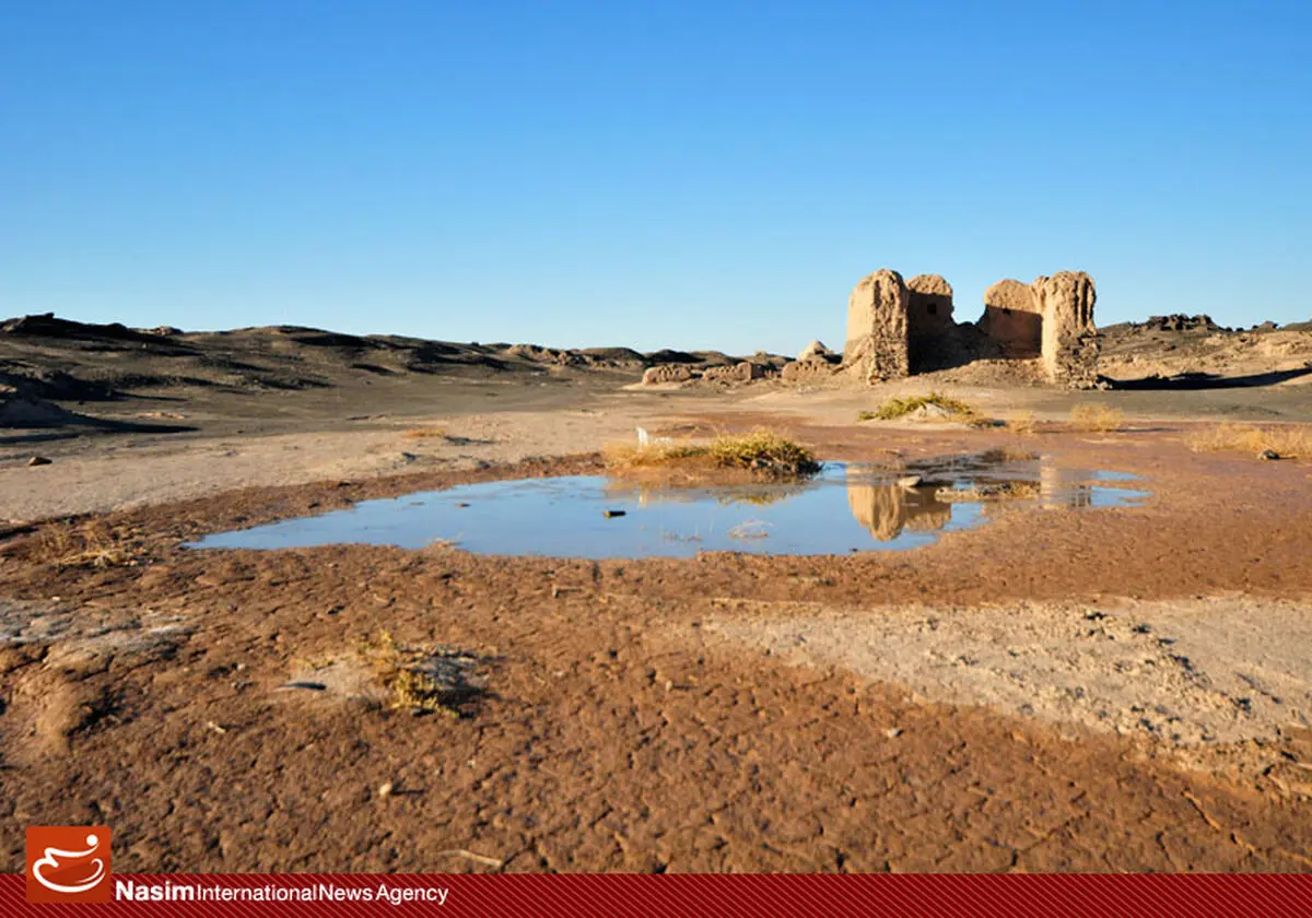 مدیر کمیته ملی مبارزه با پدیده گرد و غبار، از کانون ریزگردهای سیستان بازدید کرد