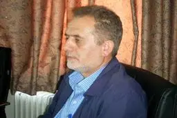 معاون سازمان آبخیزداری: دیپلماسی دریافت حق‌آبه هامون تاکنون ضعیف بوده است